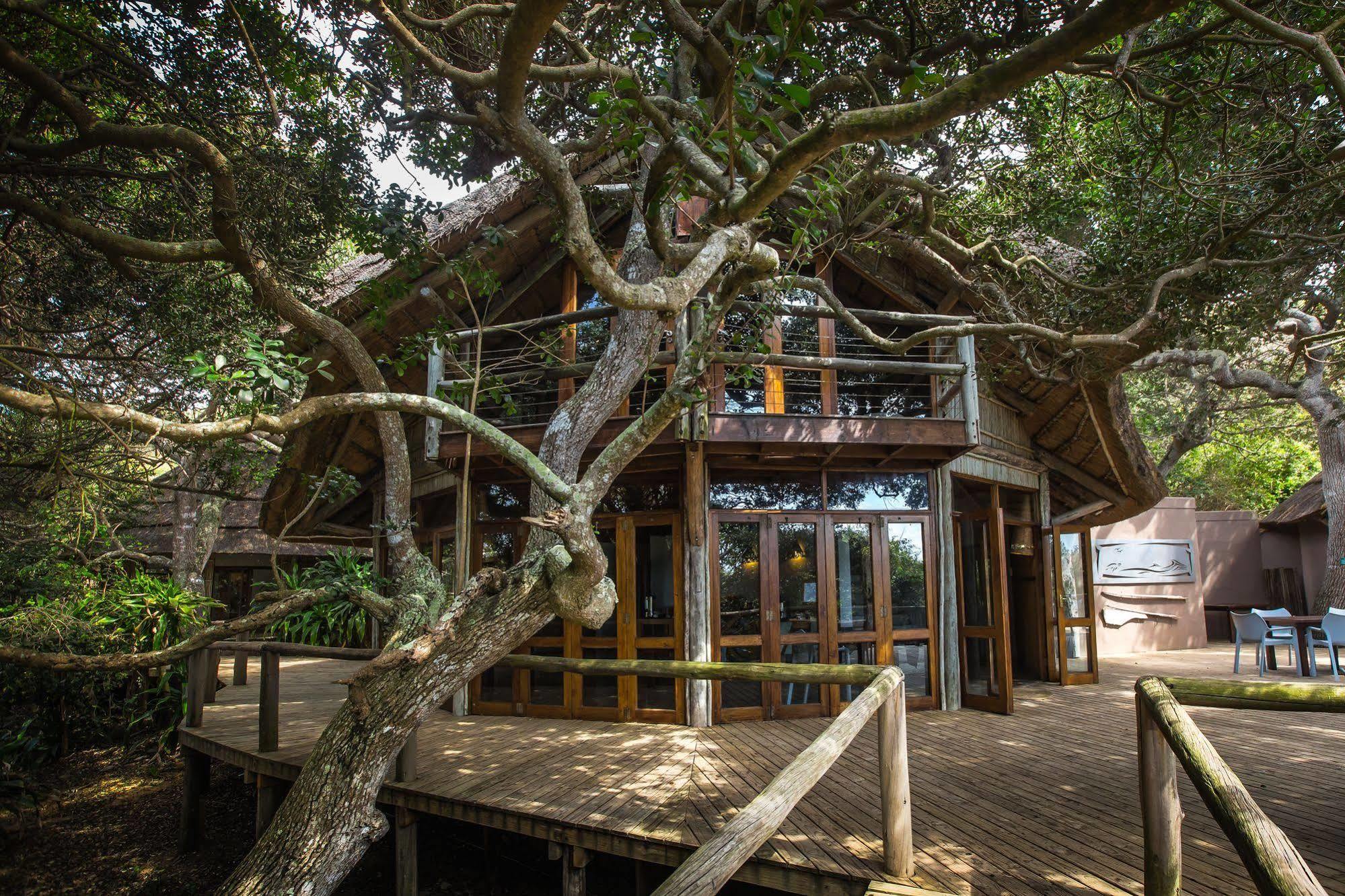 Thonga Beach Lodge Mabibi Extérieur photo